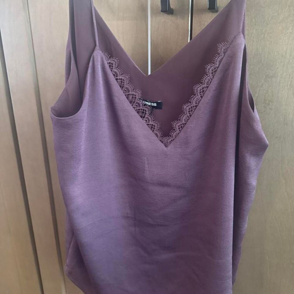 Express Women's Purple and Burgundy Vest